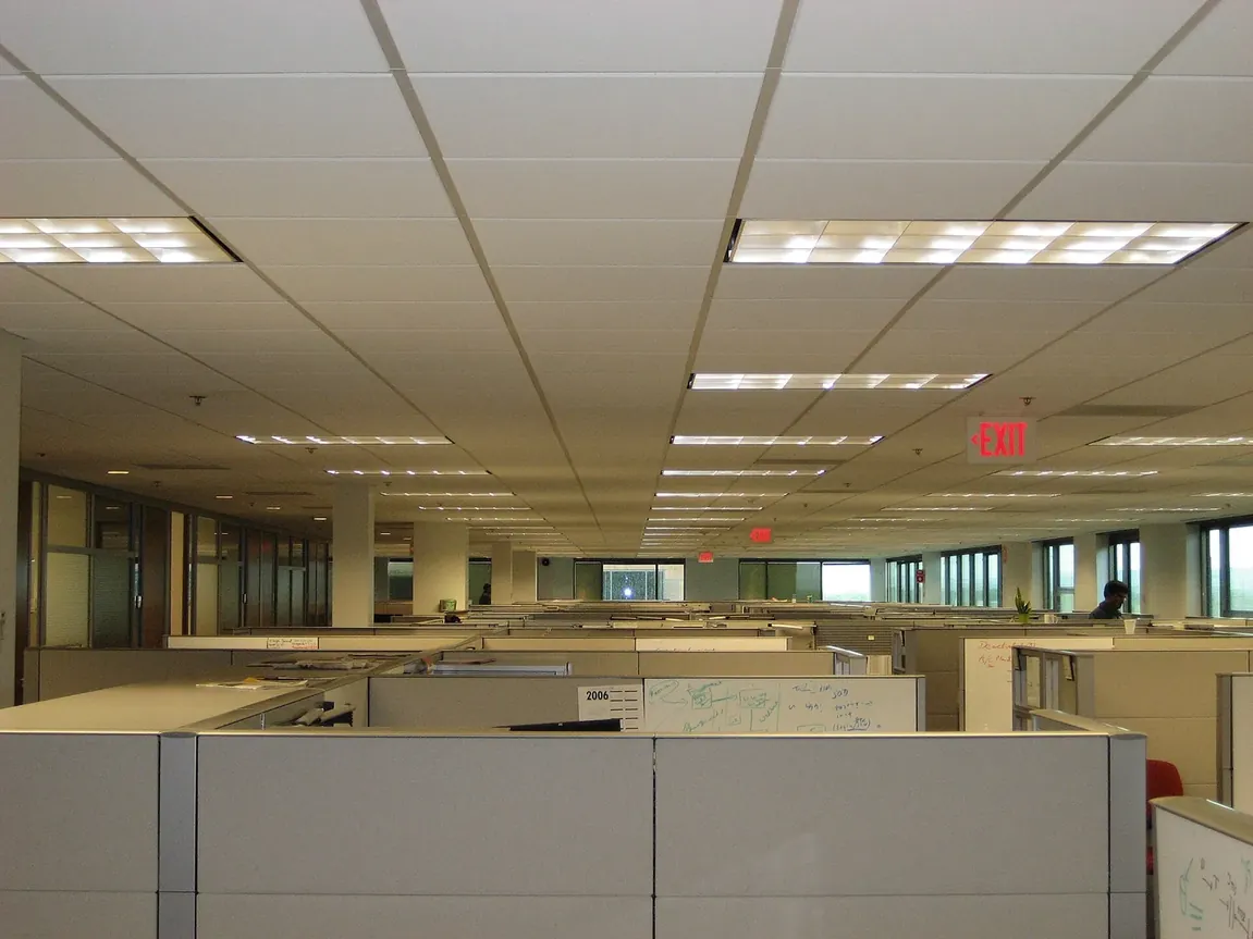 Rows of grey office cubicles under long lines of ceiling lights stretch to the far windows.